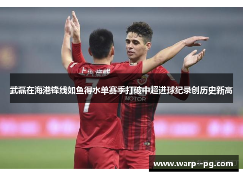 武磊在海港锋线如鱼得水单赛季打破中超进球纪录创历史新高