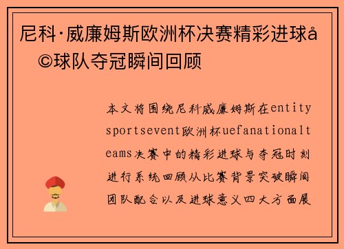 尼科·威廉姆斯欧洲杯决赛精彩进球助球队夺冠瞬间回顾